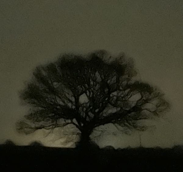 Magnus Hammick, '2nd January', 2023