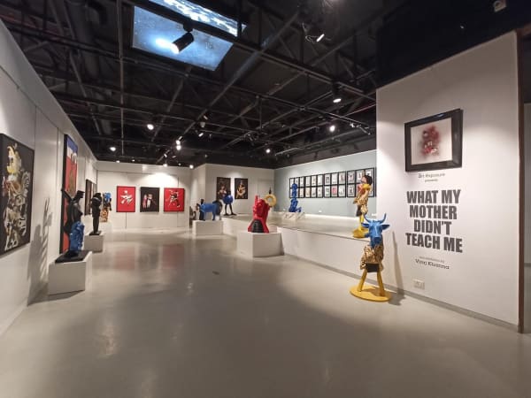 Install view of What My Mother Didn't Teach Me by Viraj Khanna