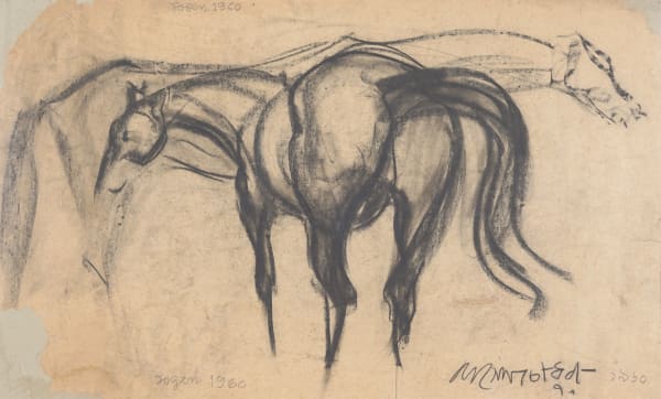 HORSE SKETCH
