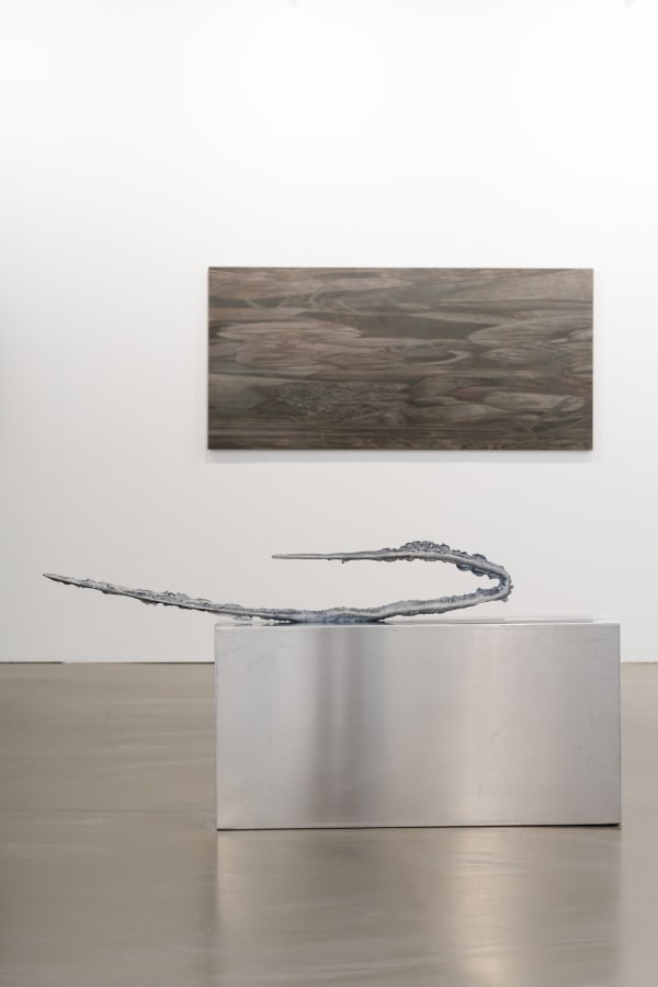 Installation view CAN Art Fair 2025. Photography by Sayana Cairo.