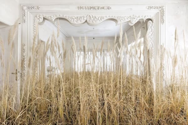 Gohar Dashti - Disappearing Nature #2, 2022