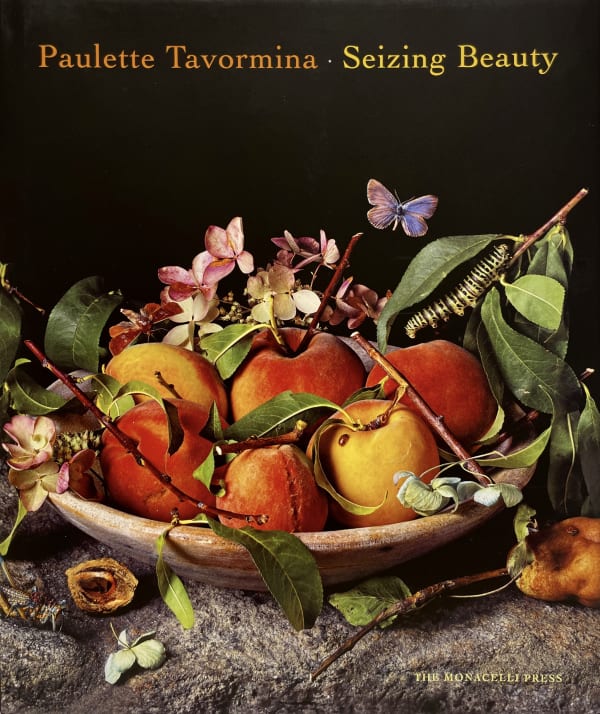 Seizing Beauty, Paulette Tavormina