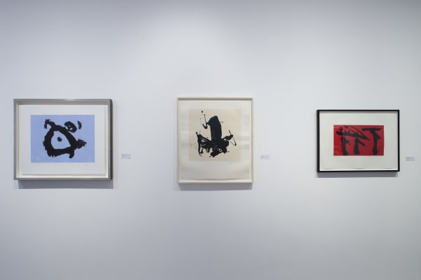 Installation shot, Robert Motherwell (2023)