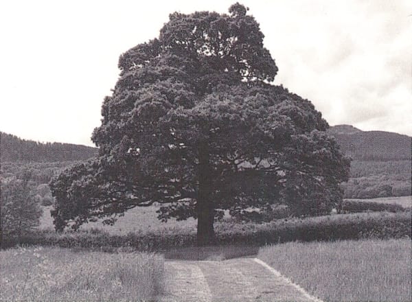 William Tillyer The Furnished Landscape, 1977 Photograph PRINTER The Artist