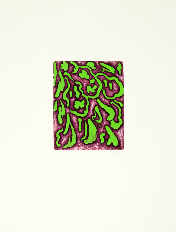 William Tillyer 'real flowers that mimicked artificial ones' - 'unquestionably, as matters stand today the only true artists are the horticulturalists.', 1974/2018 Signed in pencil lower right (recto) Relief and intaglio printing on 250 gsm Velin Arches Blanc paper Paper size: 65 x 49.5 cms (25 5/8 x 19 1/2 ins) Plate size: 25 x 19.6 cms (9 7/8 x 7 3/4 ins) EDITION 25 PROOFS 4AP 1PP PRINTER Clifton Editions PUBLISHED BY Bernard Jacobson Ltd., London, 2018