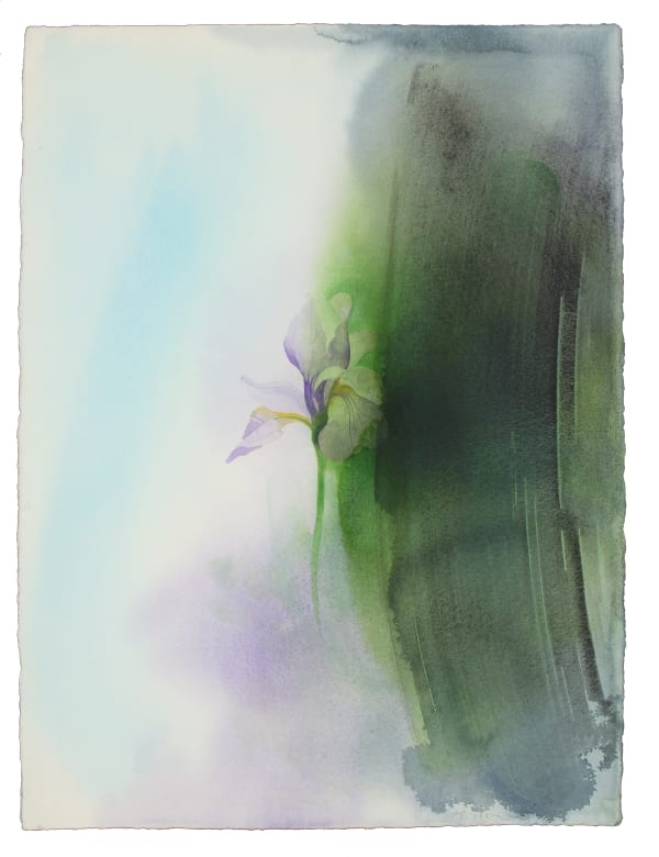 William Tillyer The Corsham Iris 2/3, 2019 Watercolour on Arches paper