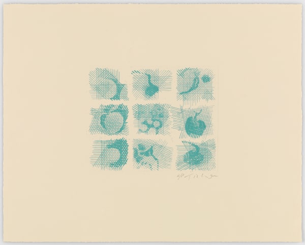 William Tillyer, Nature Table Turquoise, 2011