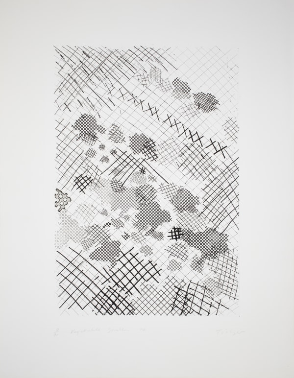 William Tillyer Vegetable Garden - A Furnished Landscape, 1974 Signed lower right, dated lower left in pencil (recto) Etching on 246 lb J. Green water leaf paper Paper size: 91.5 x 70.5 cms (36 x 27 3/4 ins) Plate size: 70.5 x 59.5 cms (27 3/4 x 23 1/2 ins) EDITION 90 PROOFS 5 AP 2 PP PRINTER Birgit Skiöld Print Workshop PUBLISHED BY Bernard Jacobson Ltd., London