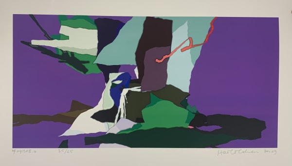 Harold Cohen, #091208.4 , 2009