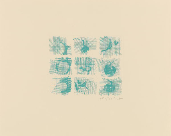 William Tillyer Nature Table, 2011 Signed in pencil lower right (recto) Etching, line drawings on zinc, gravure on paper Paper size: 44.5 x 55.9 cms (17 1/2 x 22 ins) Plate size: 20.3 x 25.9 cms (8 x 10 ins) EDITION 35 PROOFS 4 AP PRINTER Clifton Editions