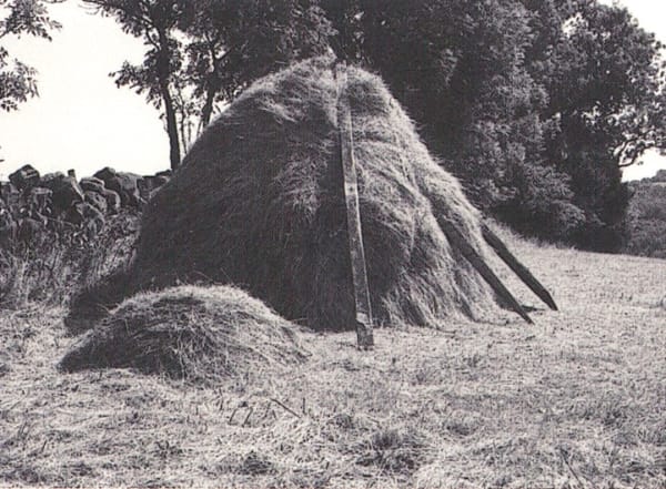 William Tillyer The Furnished Landscape, 1977 Photograph 40.5 x 61.5 cms (15 15/16 x 24 1/4 ins) PRINTER The Artist