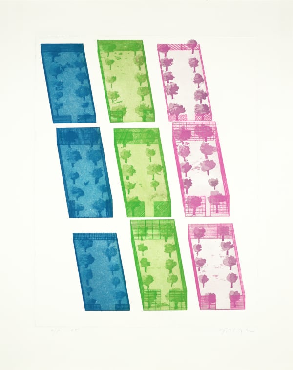 William Tillyer Enclosures, 1965 Signed in pencil on lower right (recto) Etching with aquatint on paper Paper size: 65 x 51.5 cms (25 1/2 x 20 1/4 ins) Plate size: 50.5 x 38.5 cms (19 7/8 x 15 1/8 ins) EDITION Uneditioned PRINTER The Artist