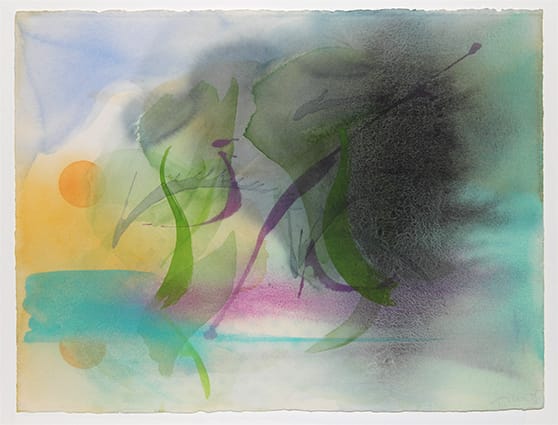 William Tillyer The Watering Place, 2013 Watercolour on Arches paper 57.2 x 76.8 cms (22 1/2 x 30 1/4 ins)