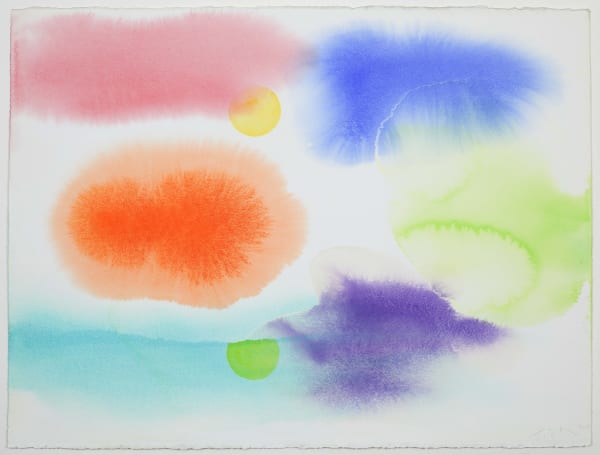 William Tillyer The Watering Place, 2013 Watercolour on Arches paper 57.2 x 76.8 cms (22 1/2 x 30 1/4 ins)