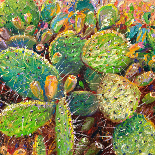 Z Make Love To A Cactus 16X16