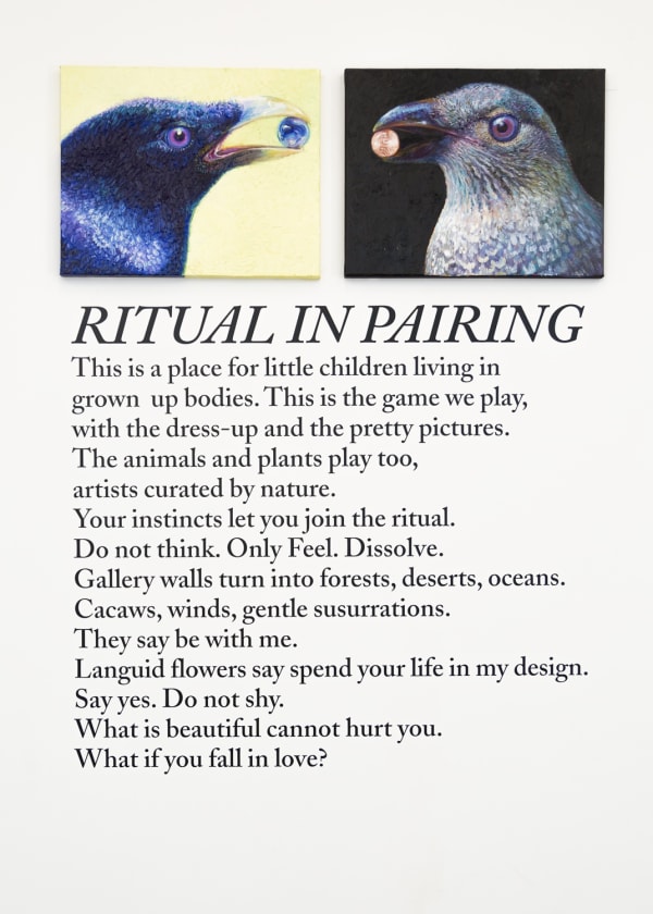 Filosofiarts Irisscott Ritualinpairing Bowerbirds 1 1500Px