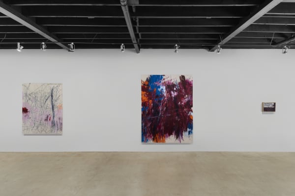 Jupiter Lotte Wieringa Install Shot 3