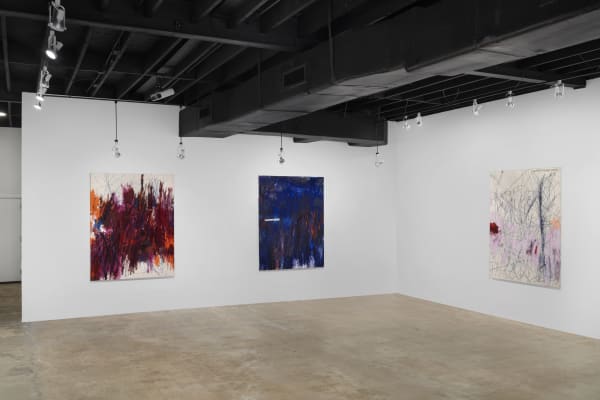 Jupiter Lotte Wieringa Install Shot 4