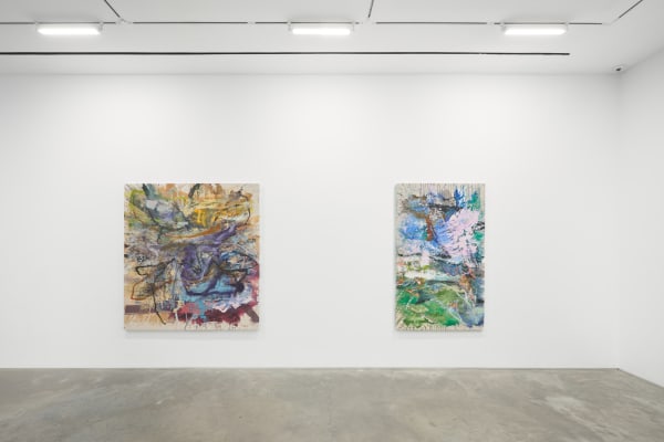 Jupiter Paul Verdell Installation 5