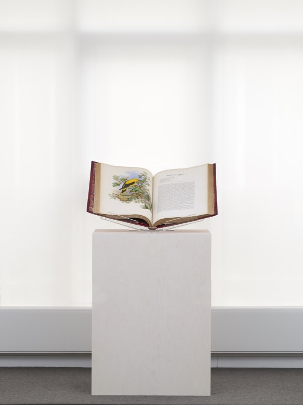 87163 High Res 26 Copy