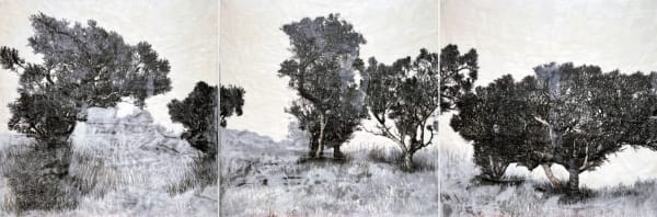 Elizabeth Edmonds - Hear, See, Speak for the Trees I, 2023