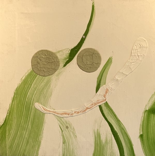 PLAYGROUND 1 2024 Acrylic on Canvas 50 x 50 cm