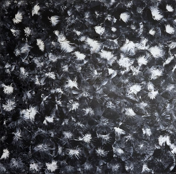 2022 Mixed Media 100 x 100 cm Impact Series