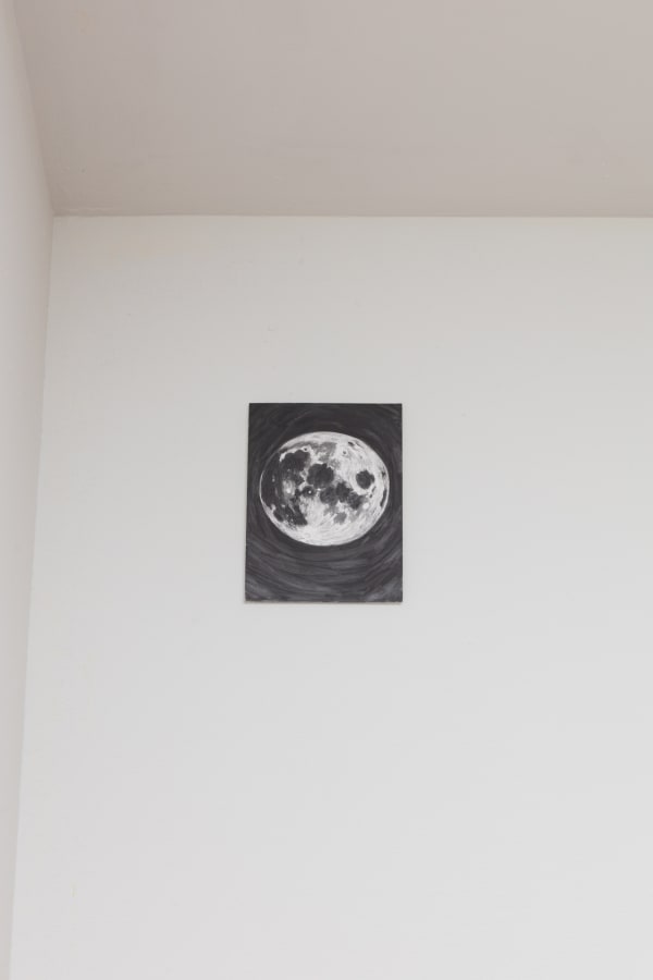 Schaefer Gravity Install17 Web