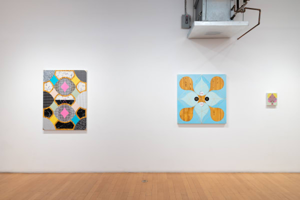 Joyce Radioactive Install6 Web