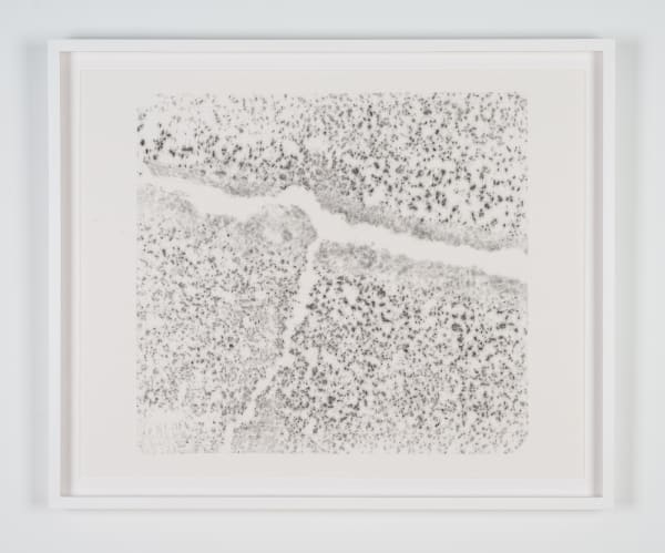 Chris Oatey, Mile High, 2019