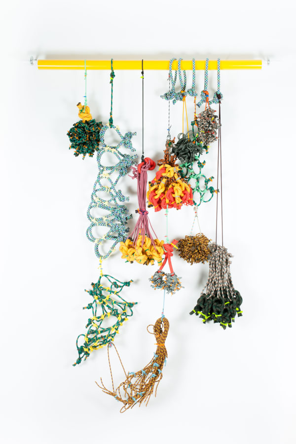 Liz Miller, Structural Permutations 09, 2019