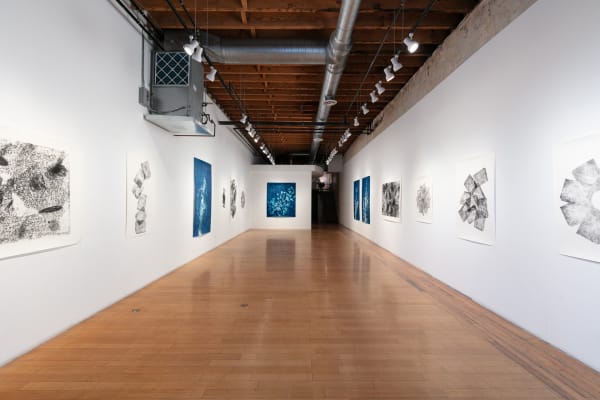 Nguyenoatey Indexingnature Install1 Web