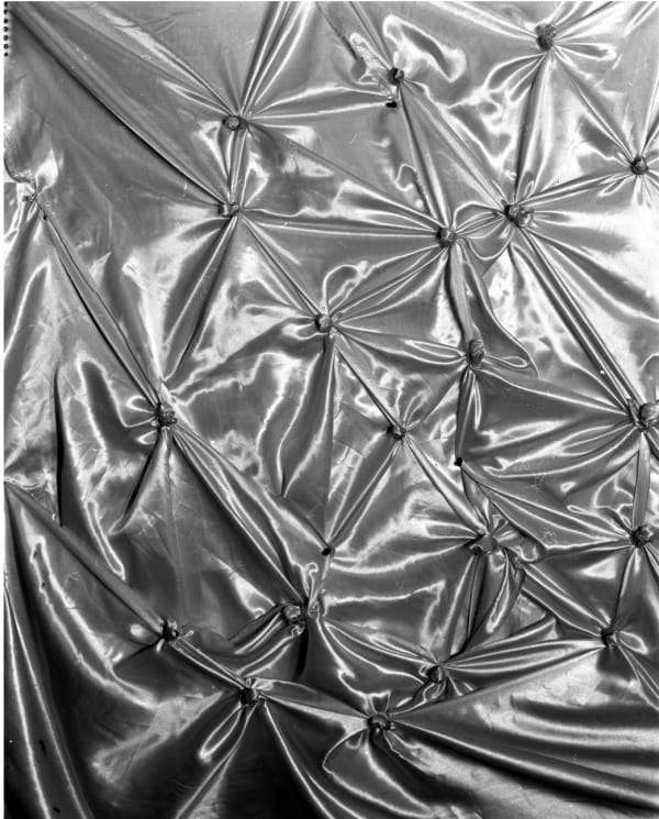 Whitney Hubbs, Other Picture #5 (Swaddled Organs), 2018