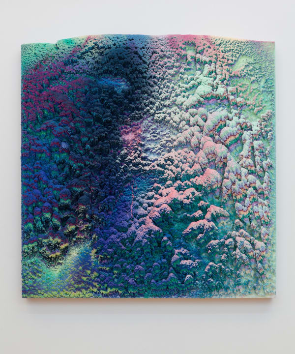 Dylan Gebbia-Richards, Verphyta, 2018