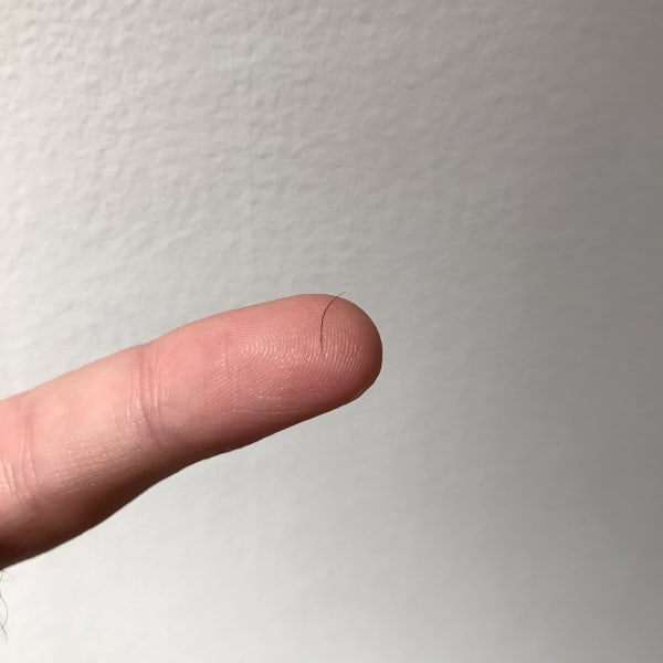 Adam Milner, Dealt, 2017