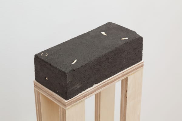 Adam Milner, Let's Build a House But Not Here, 2017