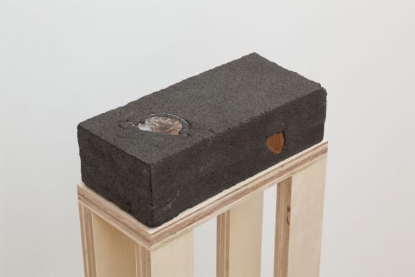 Adam Milner, Let's Build a House But Not Here, 2017