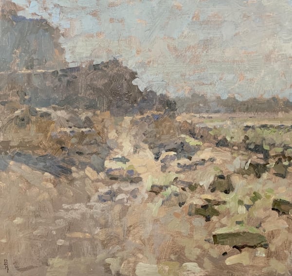 Sea Wall, Seaview
