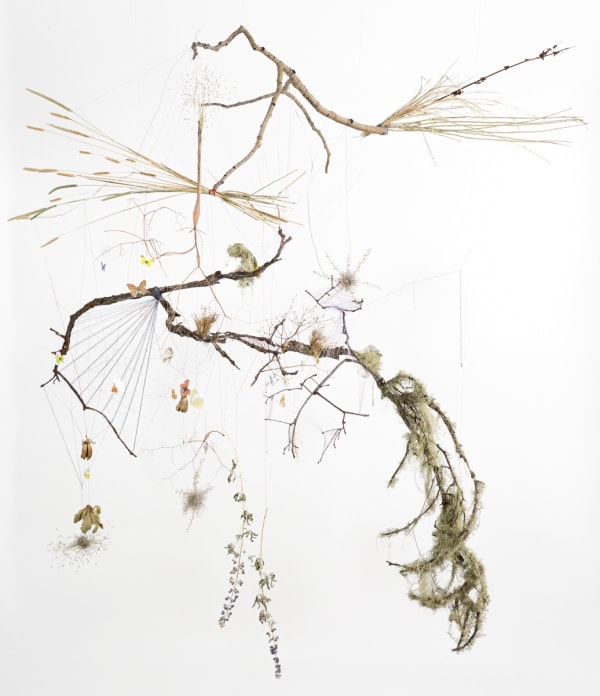 Rachel Wolf, Loom, 2021