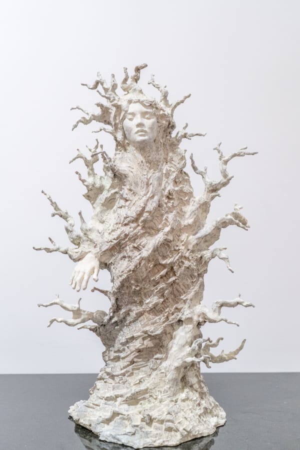 Tancredi di Carcaci, Daphne, 2025