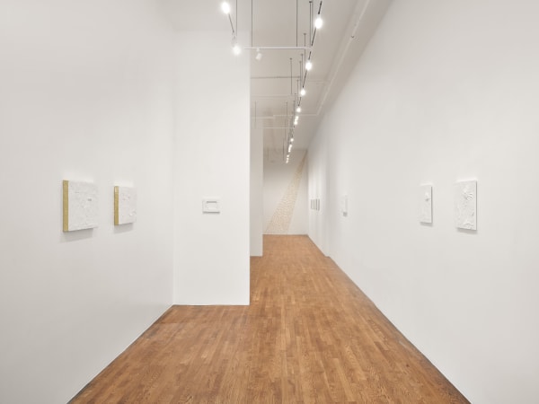 Tim Noble, Happy land, exhibition view. Courtesy of Palo Gallery