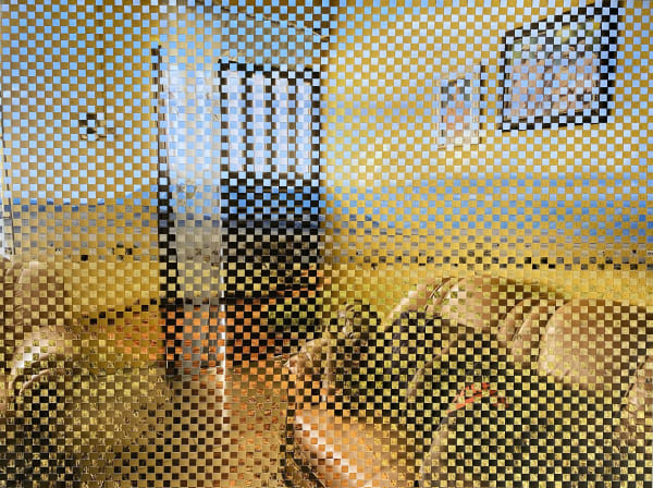 AYOBAMI OGUNGBE AT LEAST FOR NOW 2023 WOVEN PHOTOGRAPHIC PRINTS 35 X 47 IN