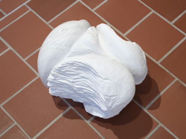 2023 0705 Galeryleu A Sajungneluis 7542