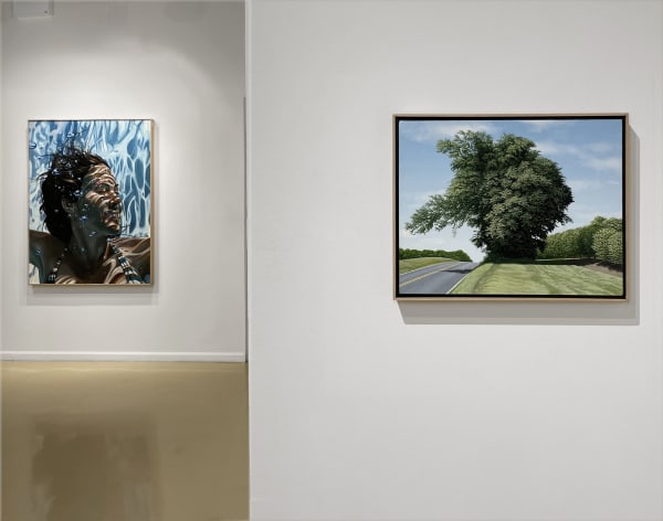 Natural World Install 12