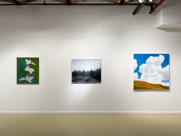 Natural World Install 13