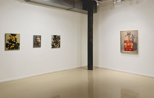 Amusinginstall2022 14