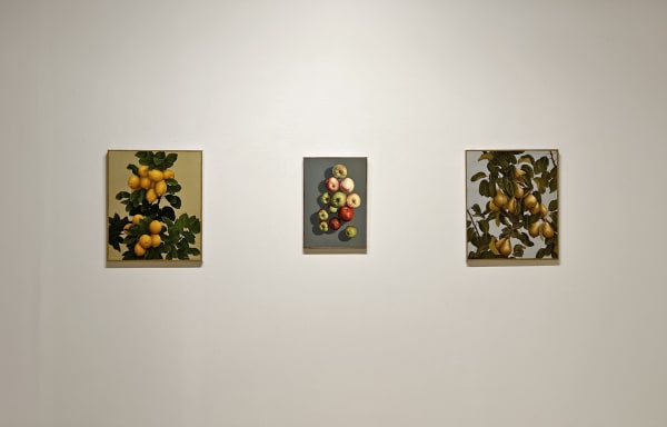 Amusinginstall2022 15