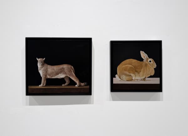 December Installation View 12 Traub