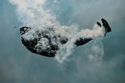 Eric Zener, 40" x 60"