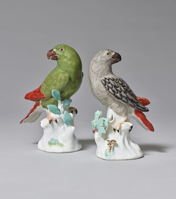 A Rare Pair of Meissen South American Parrots , Circa 1740
